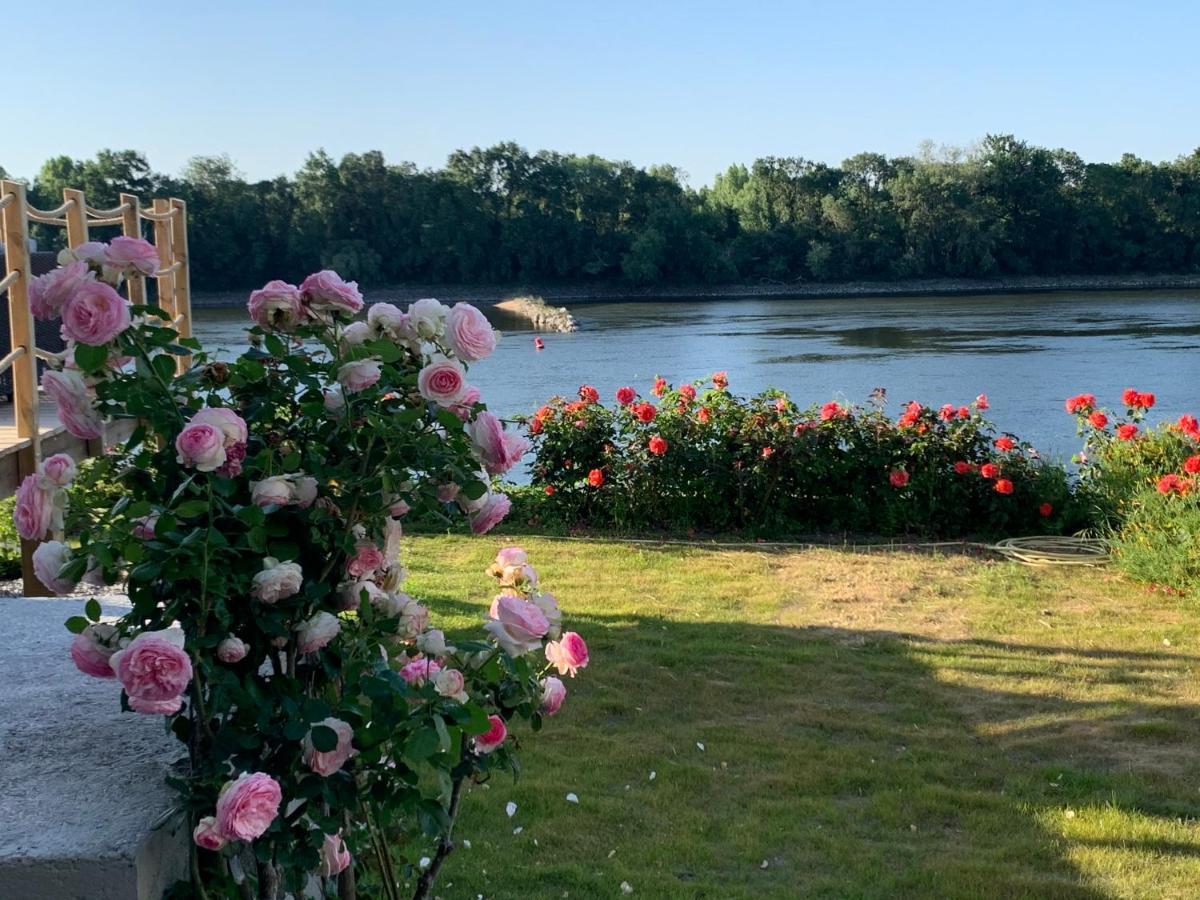 Maisons Au Bord De La Loire - Maison Paradis & Maison Bonheur Au 248 RiversideLe Fosse-Neuf エクステリア 写真